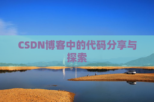 CSDN博客中的代码分享与探索